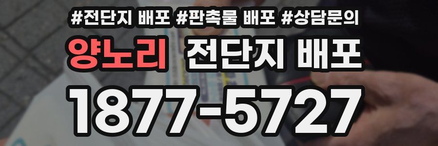 양노리 전단지 배포