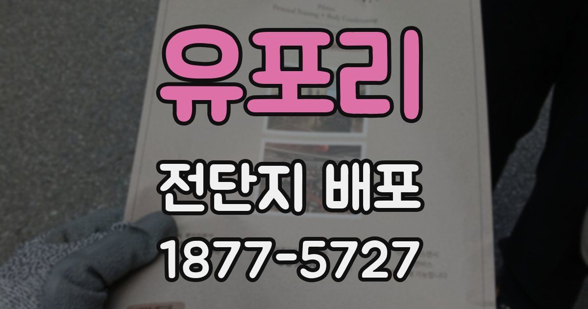 유포리 전단지 배포