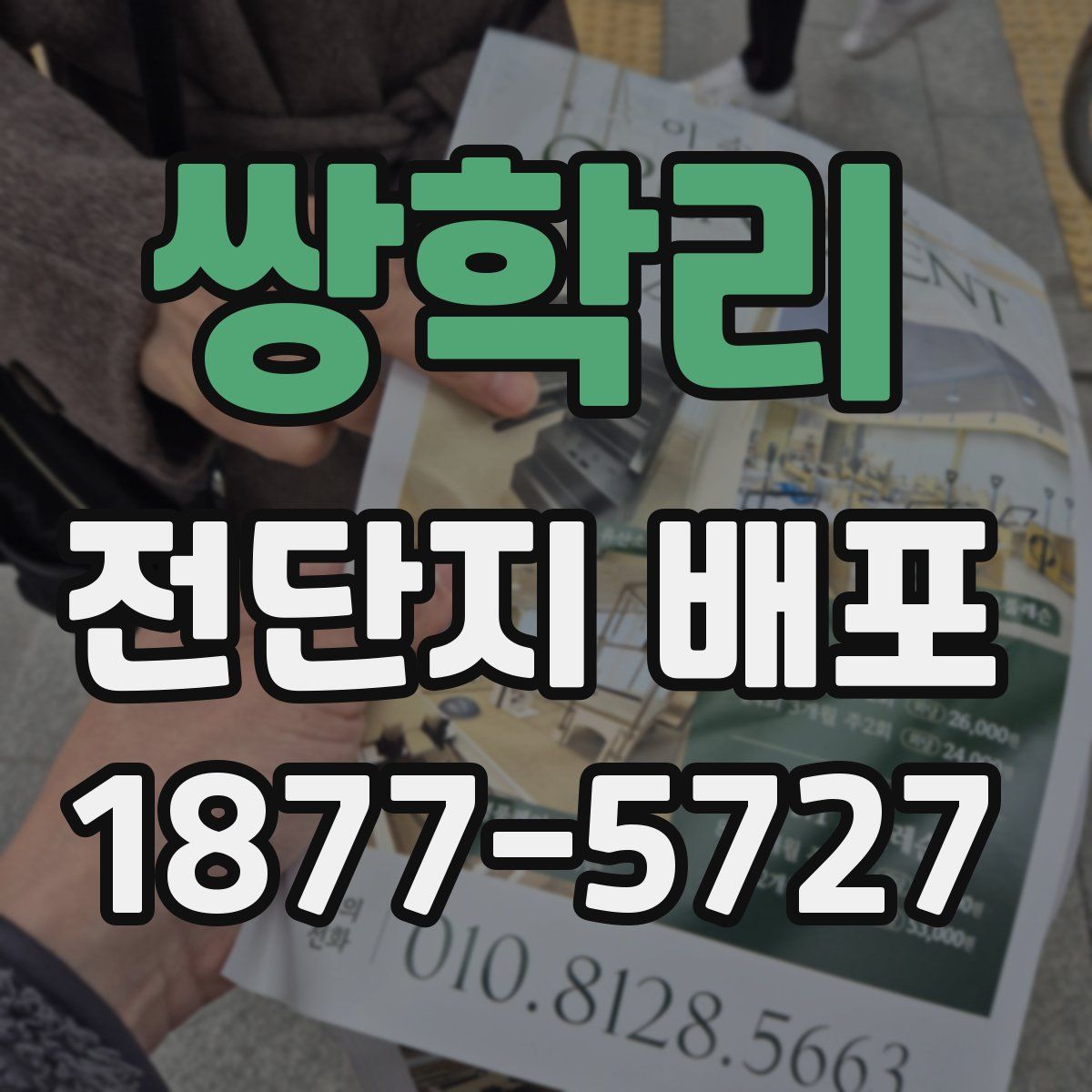 쌍학리 전단지 배포