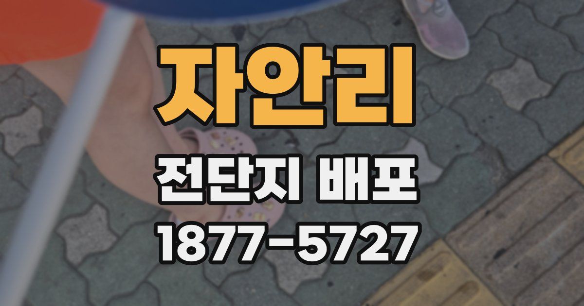 자안리 전단지 배포
