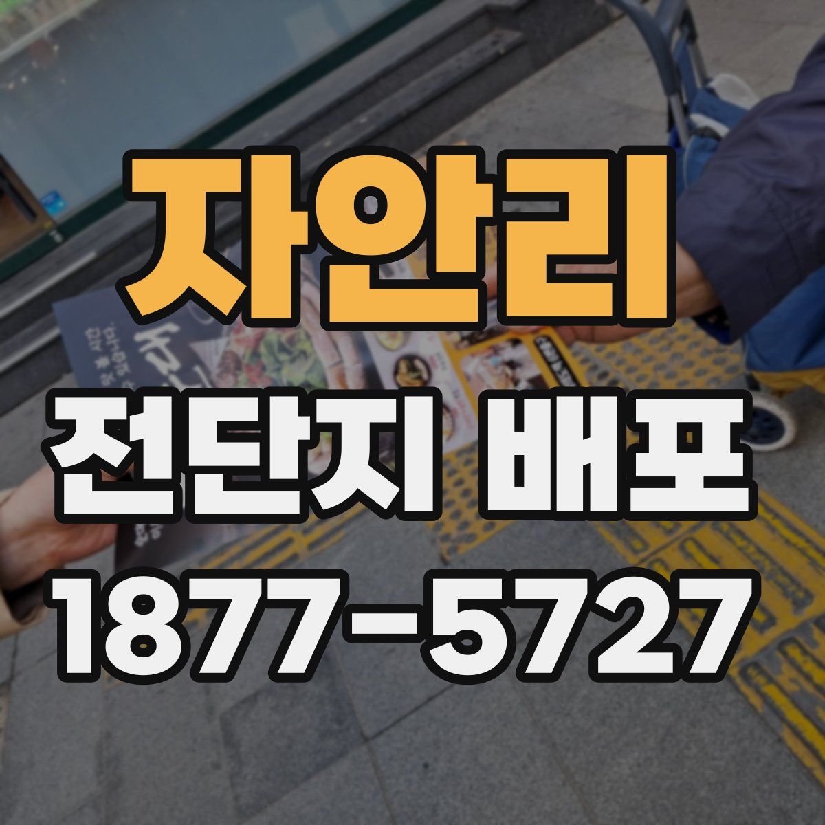 자안리 전단지 배포