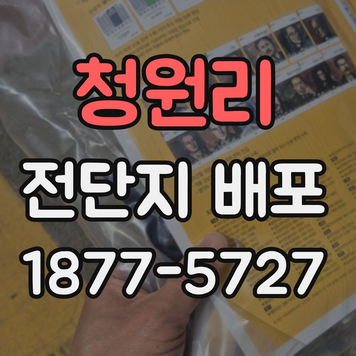 청원리 전단지 배포
