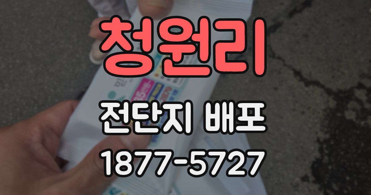 청원리 전단지 배포
