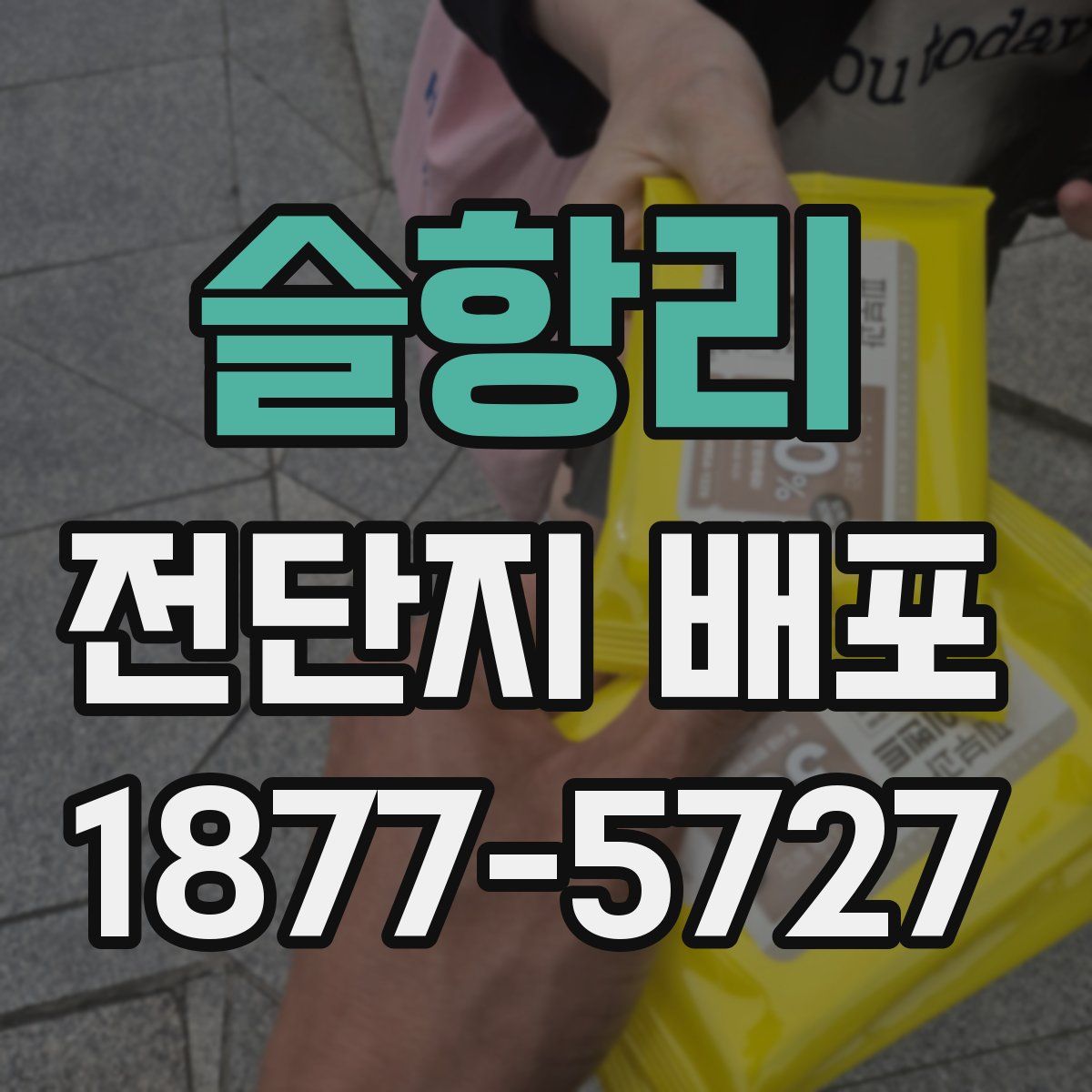슬항리 전단지 배포