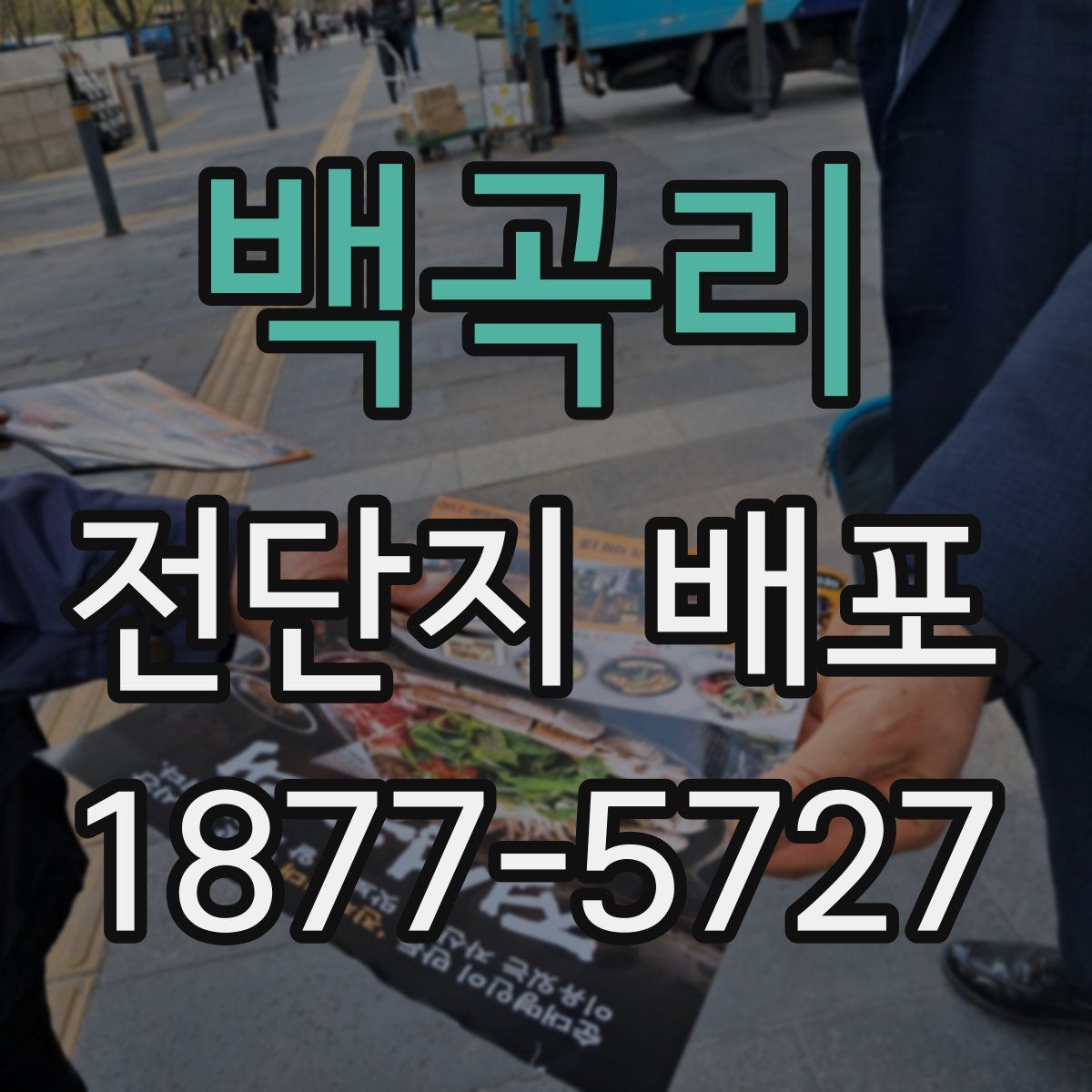 백곡리 전단지 배포