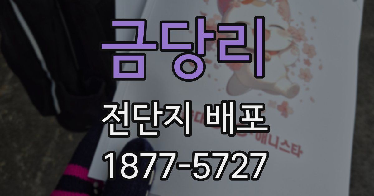금당리 전단지 배포