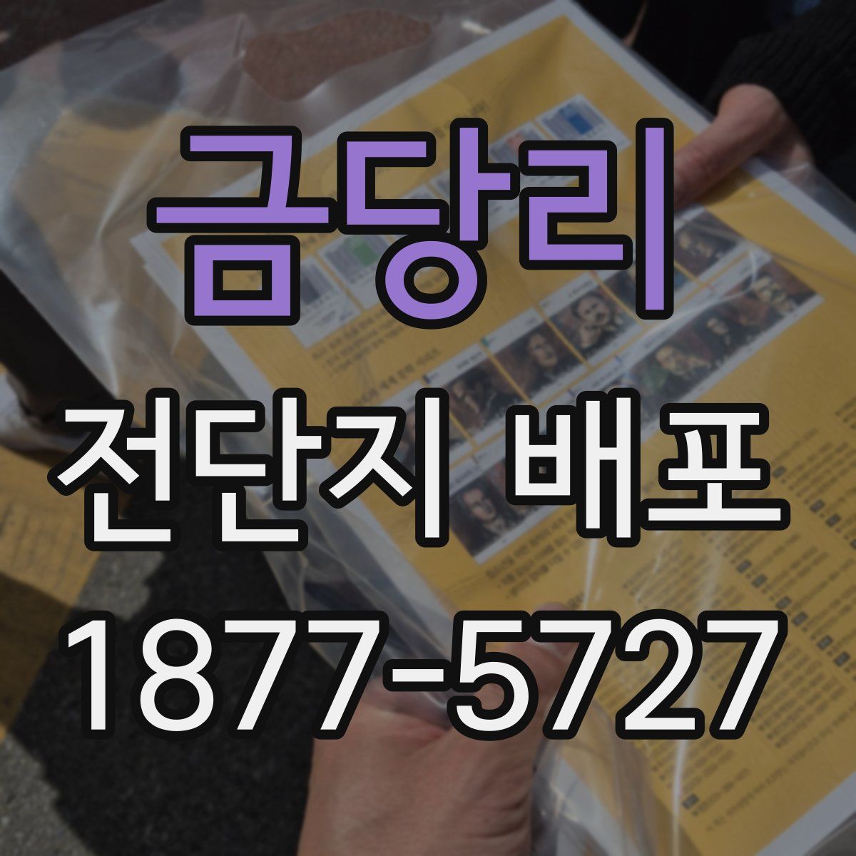 금당리 전단지 배포