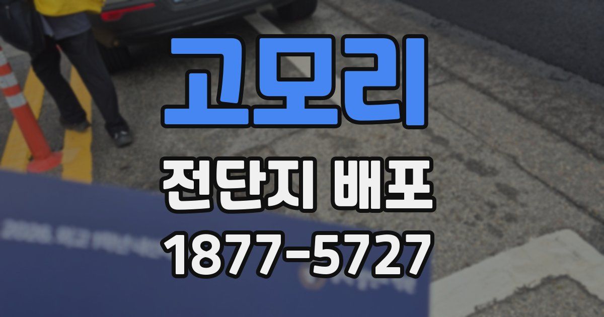 고모리 전단지 배포