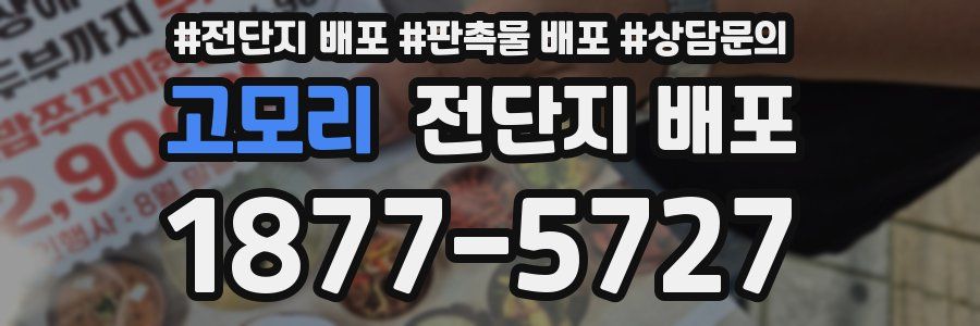 고모리 전단지 배포