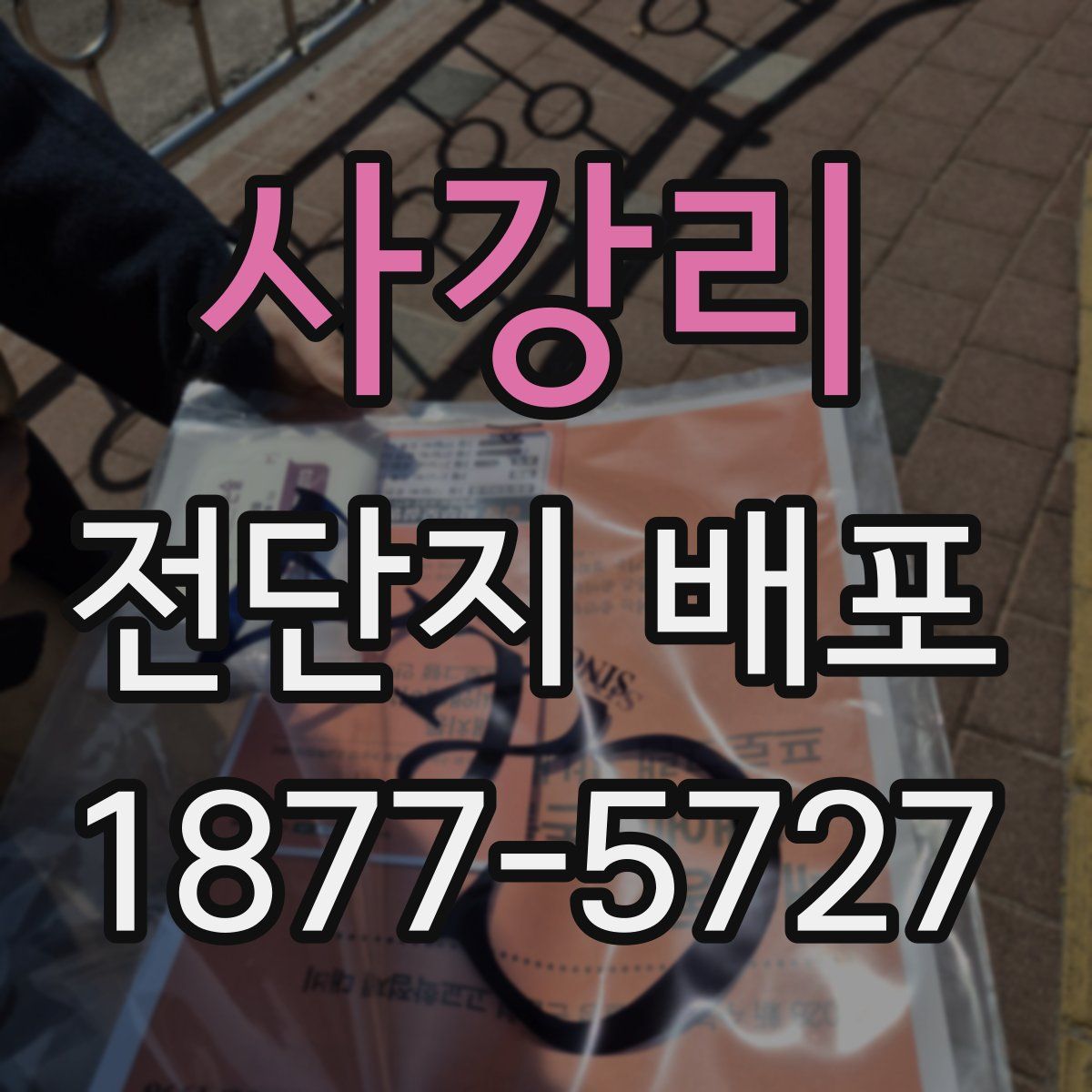 사강리 전단지 배포