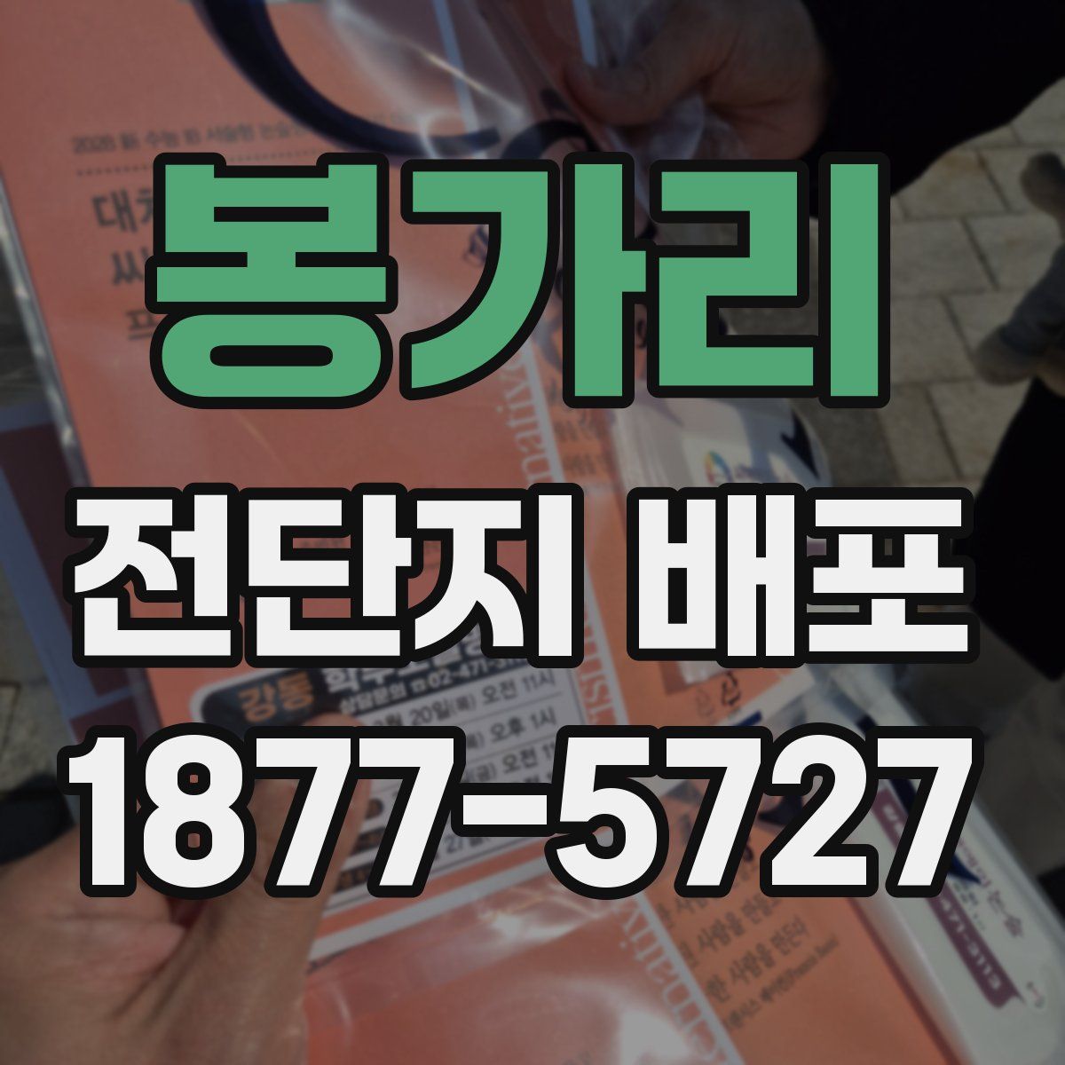 봉가리 전단지 배포