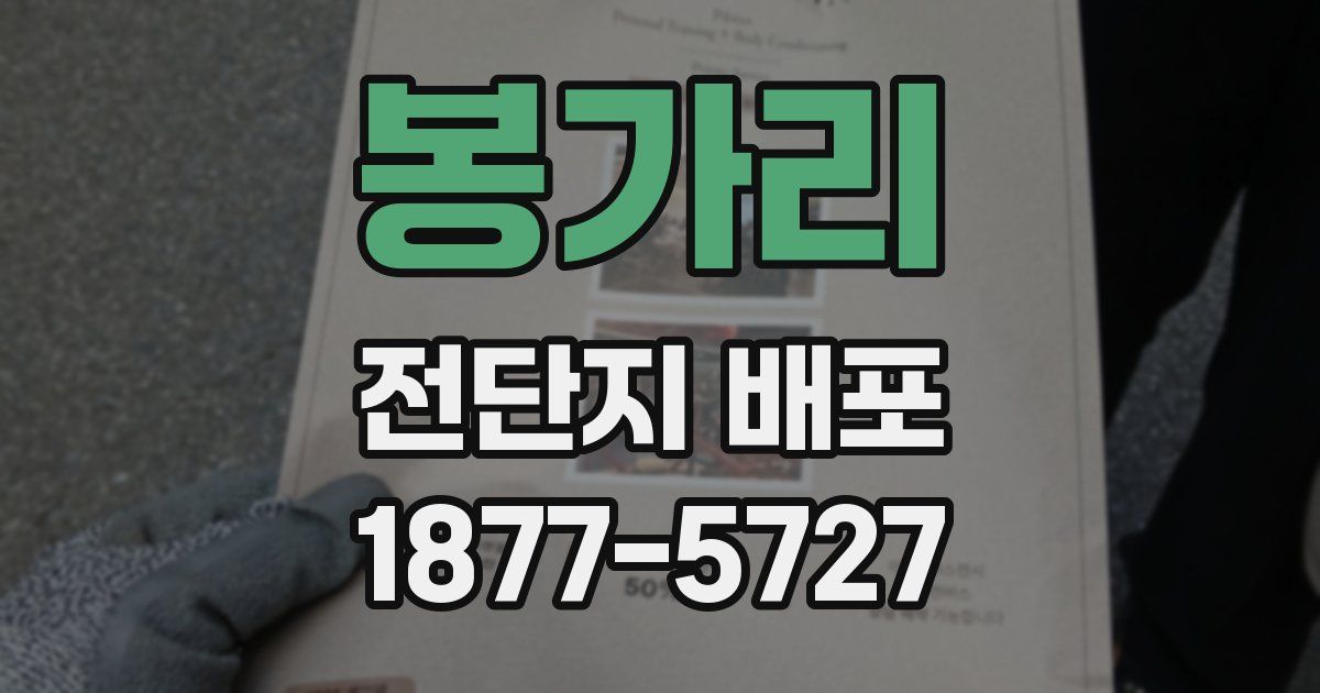 봉가리 전단지 배포