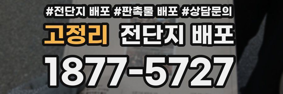 고정리 전단지 배포