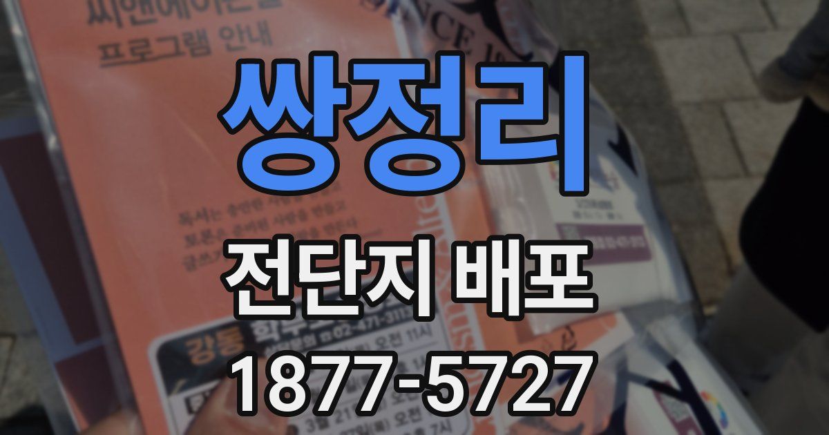 쌍정리 전단지 배포