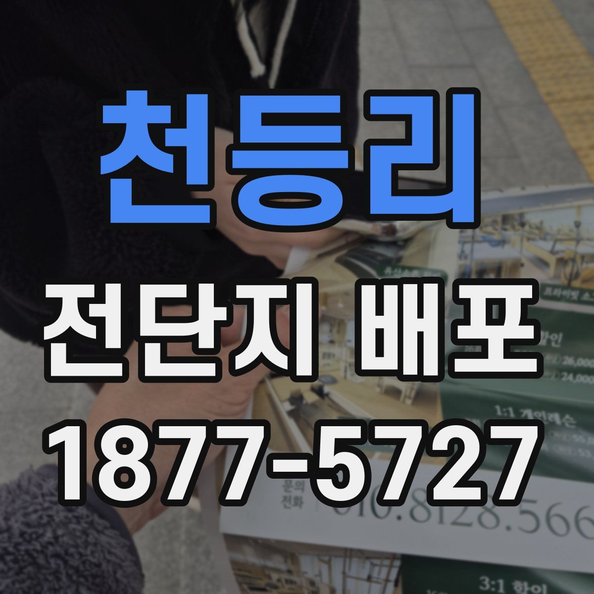천등리 전단지 배포