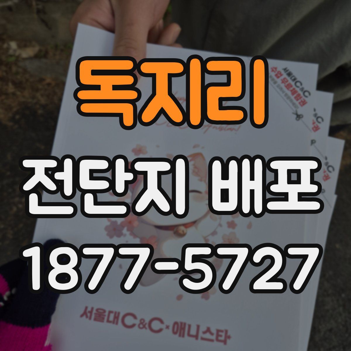 독지리 전단지 배포