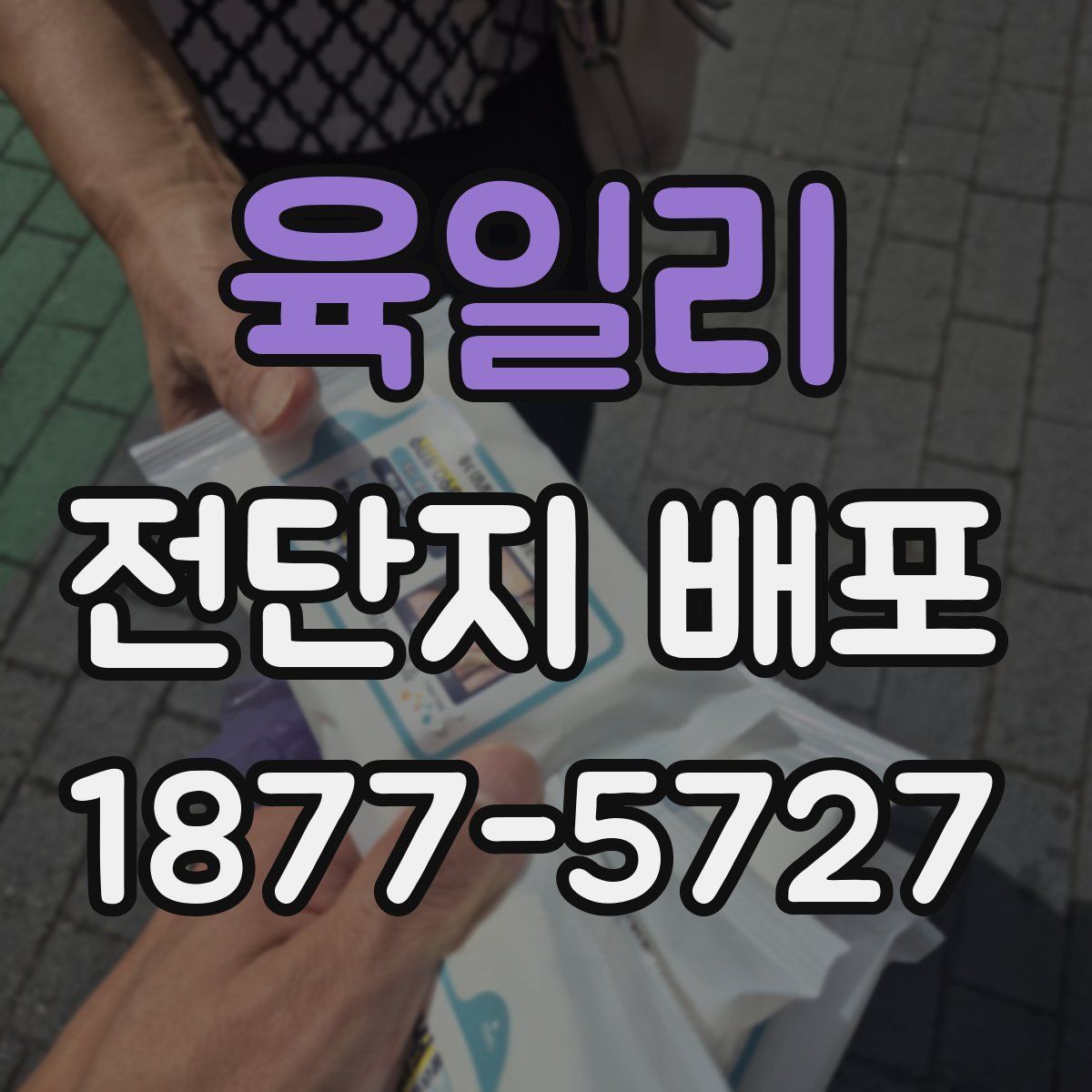 육일리 전단지 배포