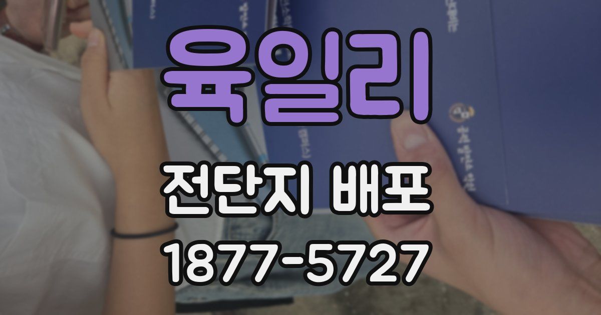 육일리 전단지 배포