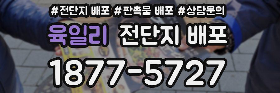 육일리 전단지 배포