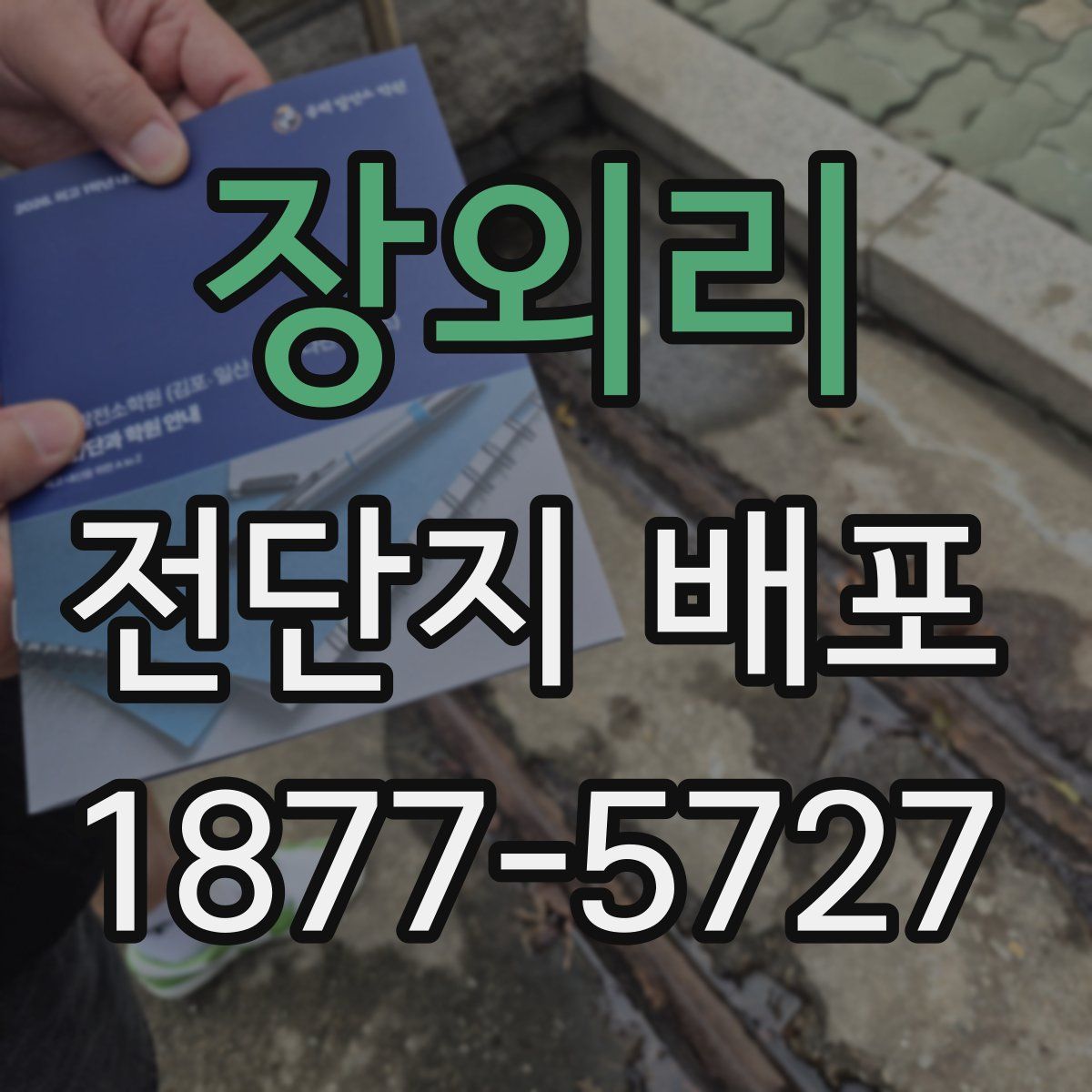 장외리 전단지 배포