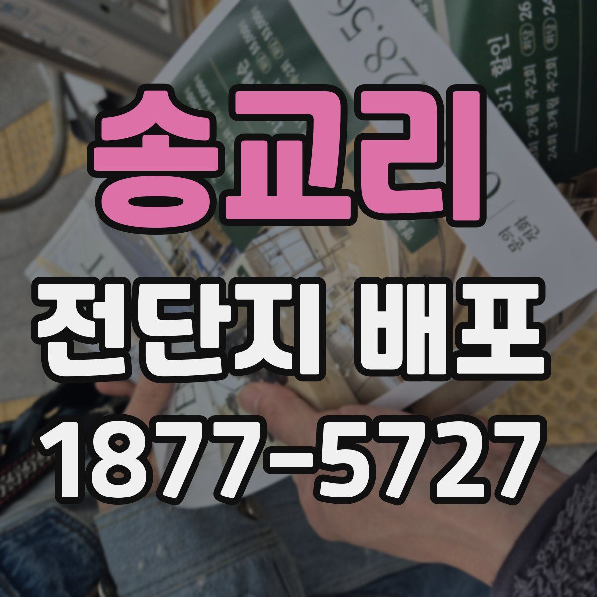 송교리 전단지 배포