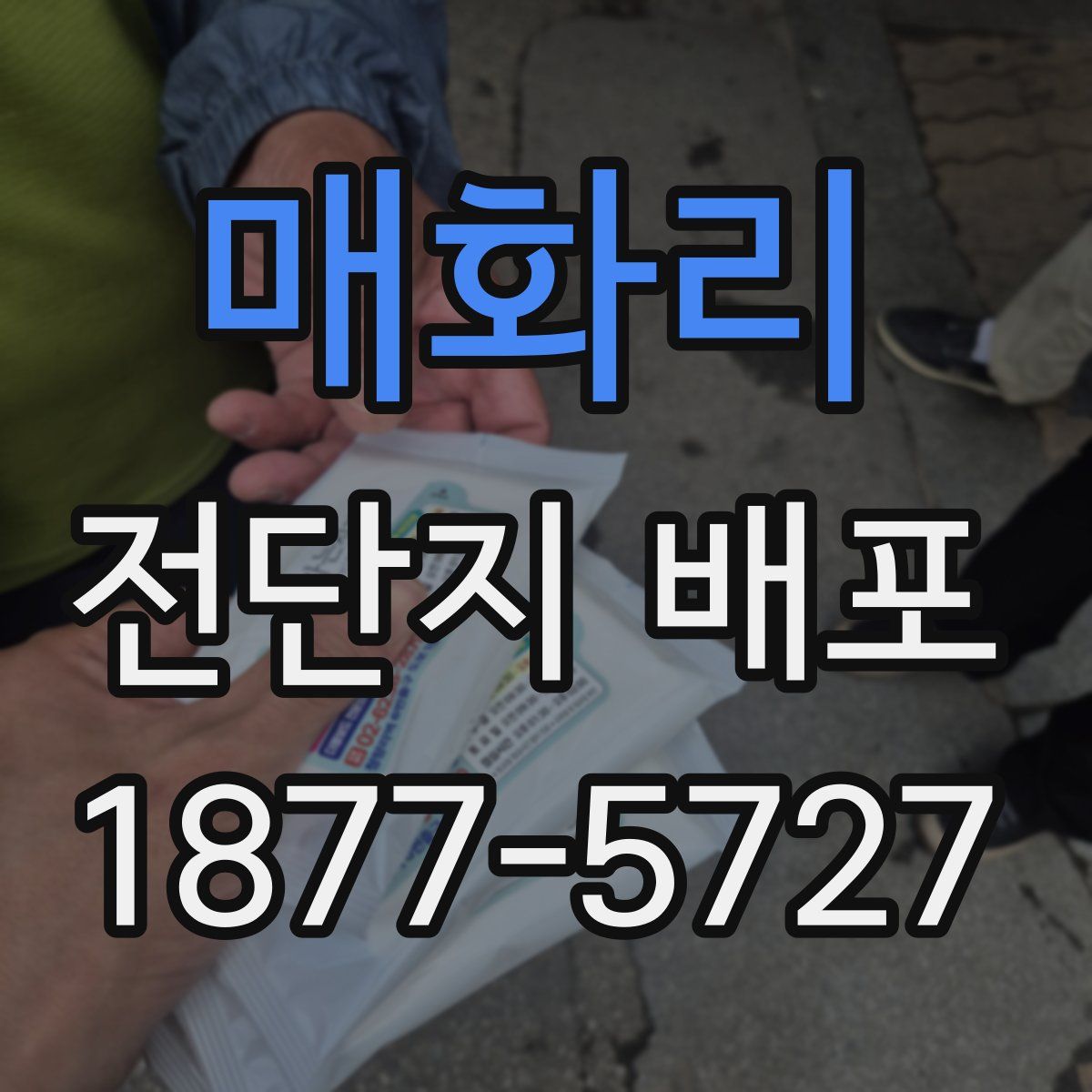 매화리 전단지 배포