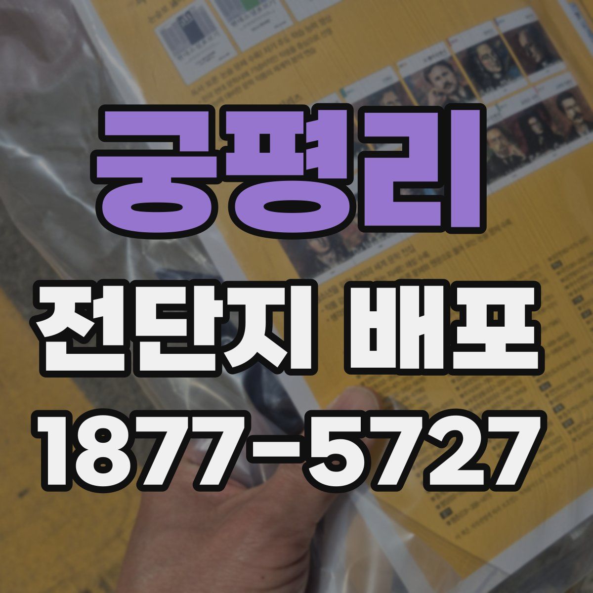 궁평리 전단지 배포