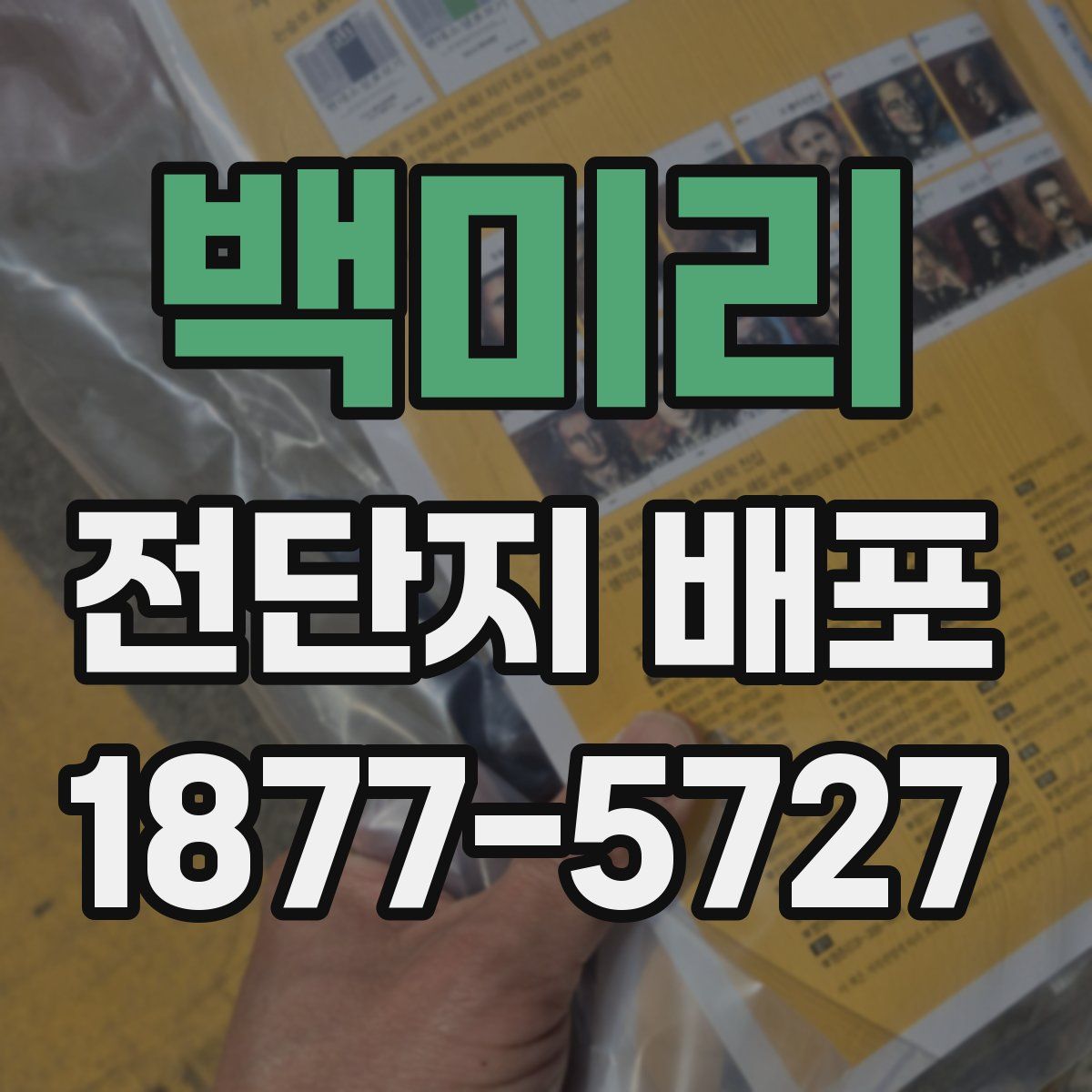 백미리 전단지 배포