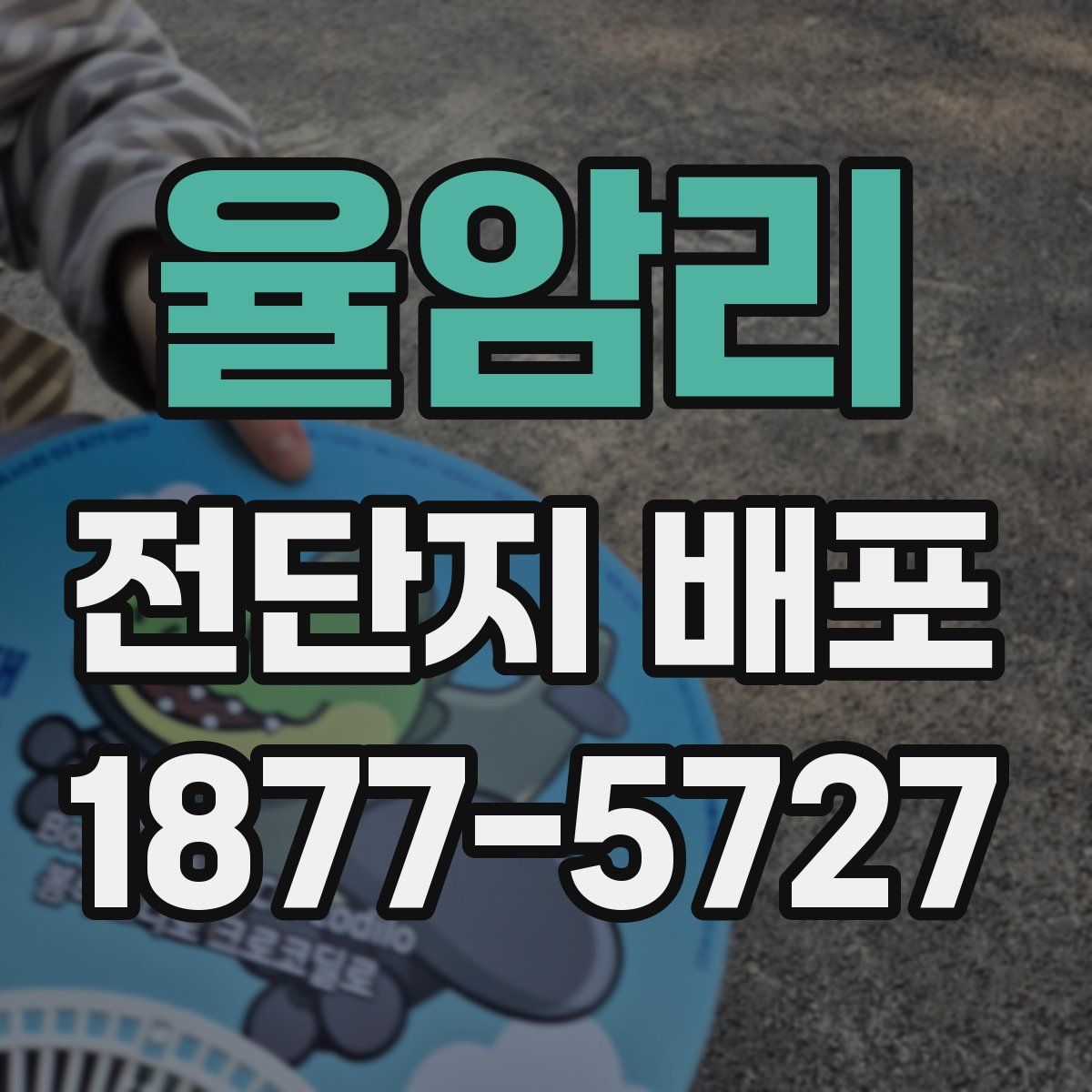 율암리 전단지 배포