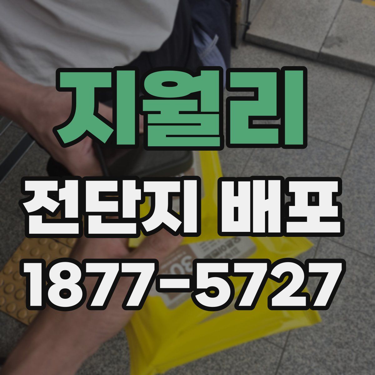 지월리 전단지 배포