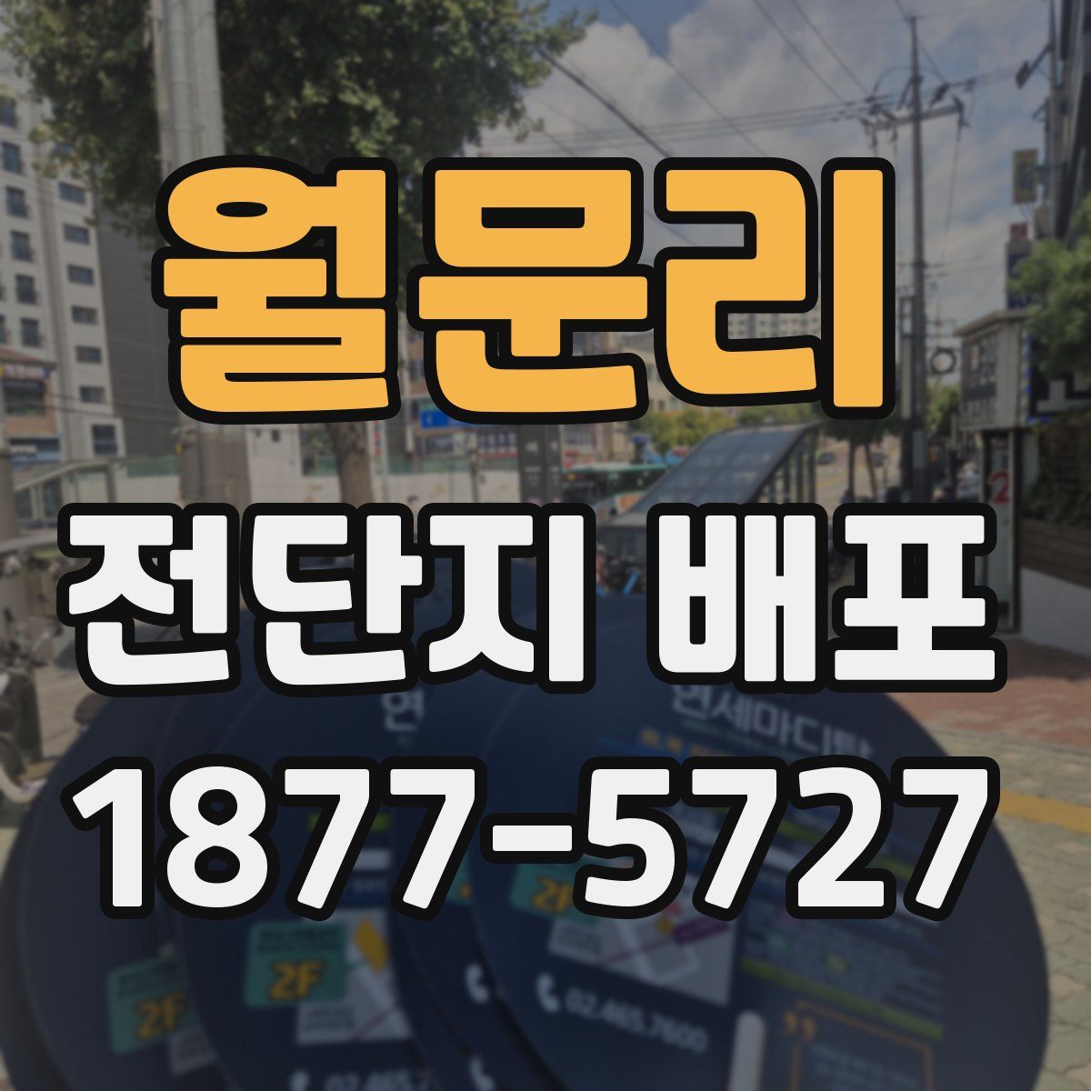 월문리 전단지 배포