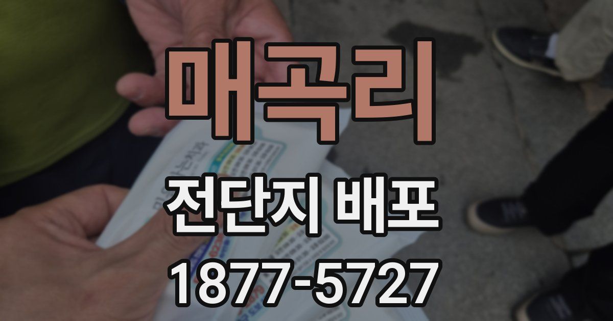 매곡리 전단지 배포