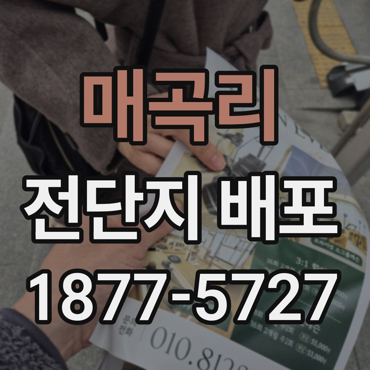 매곡리 전단지 배포