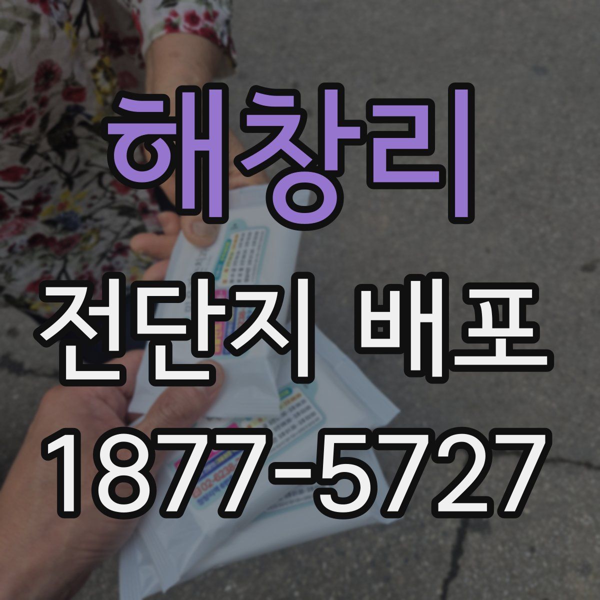 해창리 전단지 배포