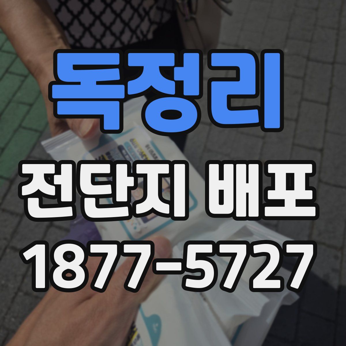 독정리 전단지 배포