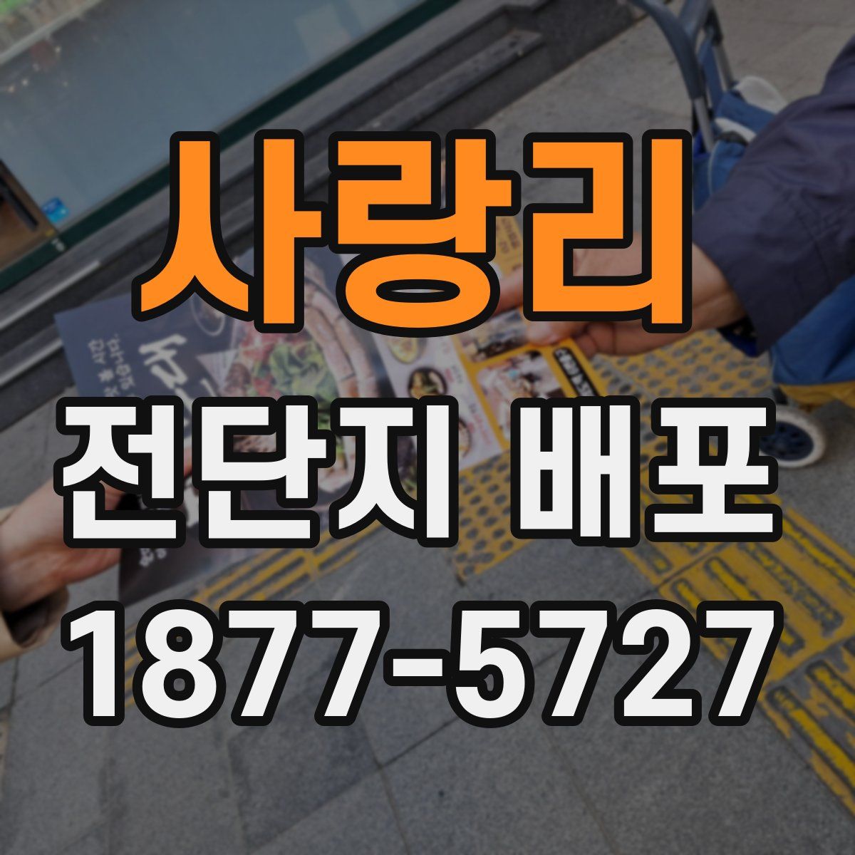 사랑리 전단지 배포