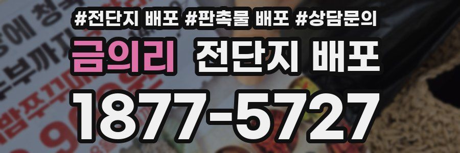 금의리 전단지 배포