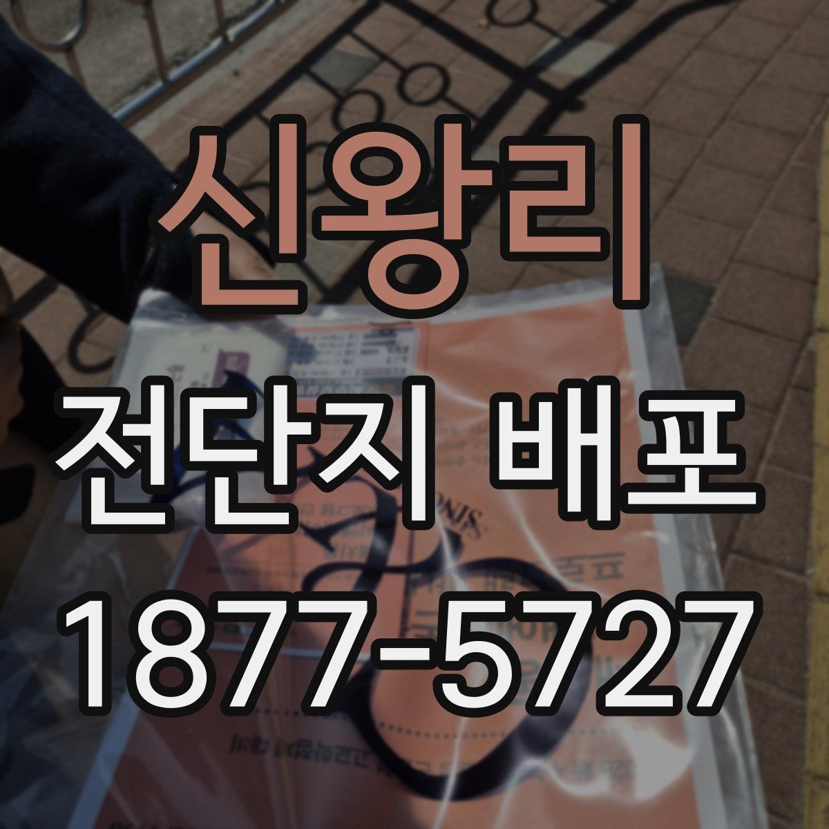 신왕리 전단지 배포