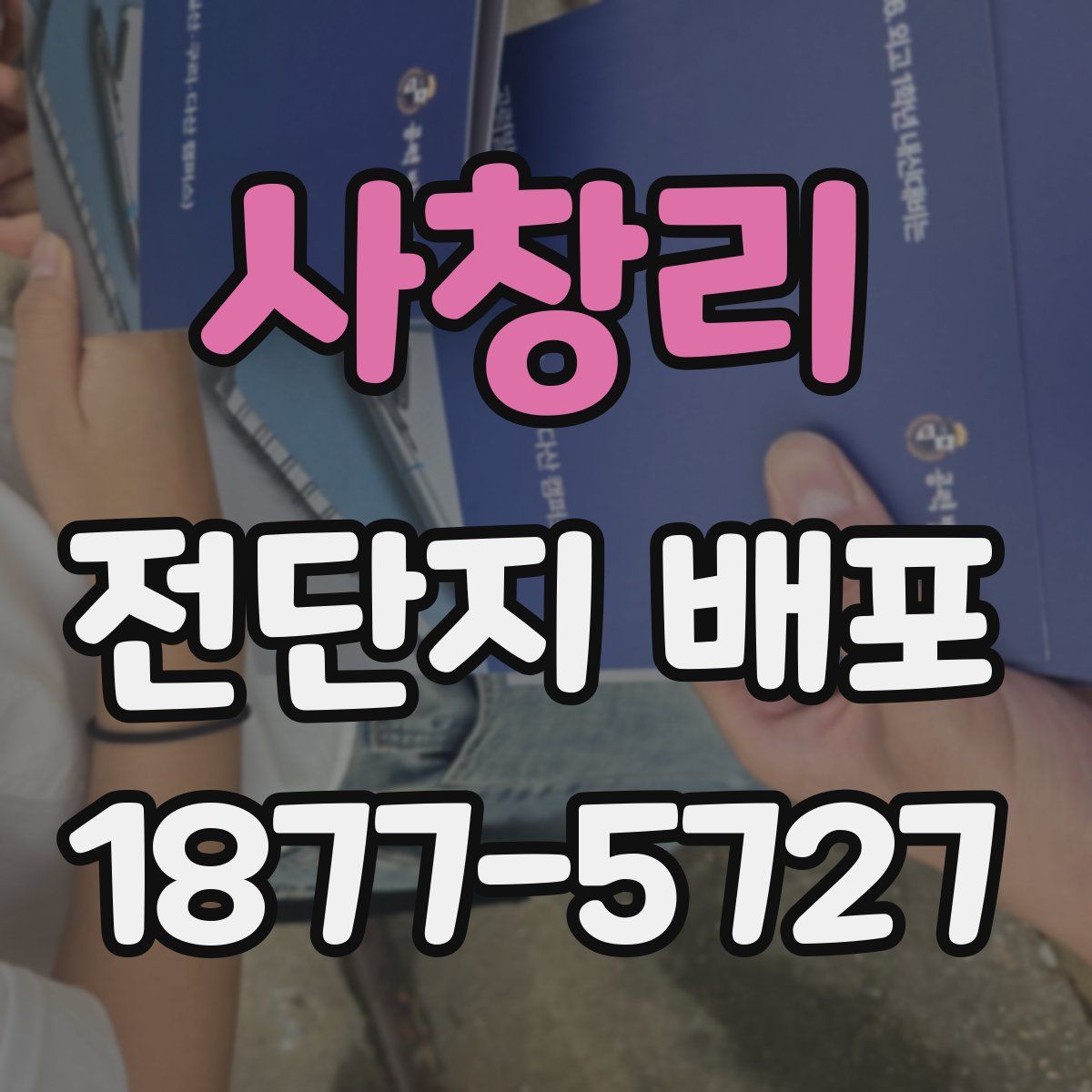 사창리 전단지 배포