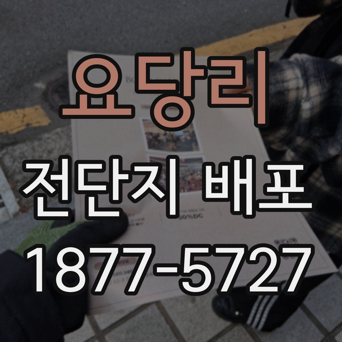 요당리 전단지 배포