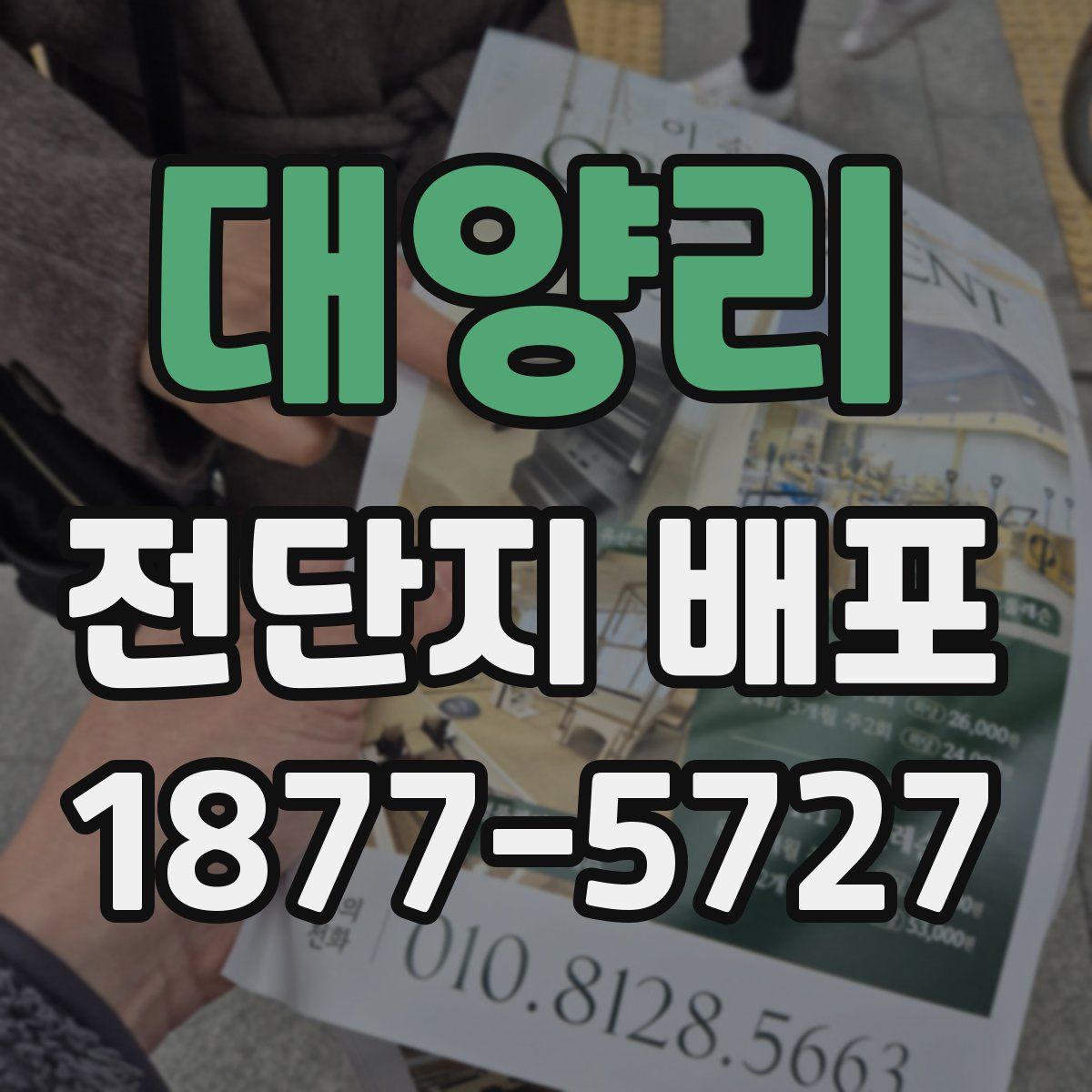 대양리 전단지 배포