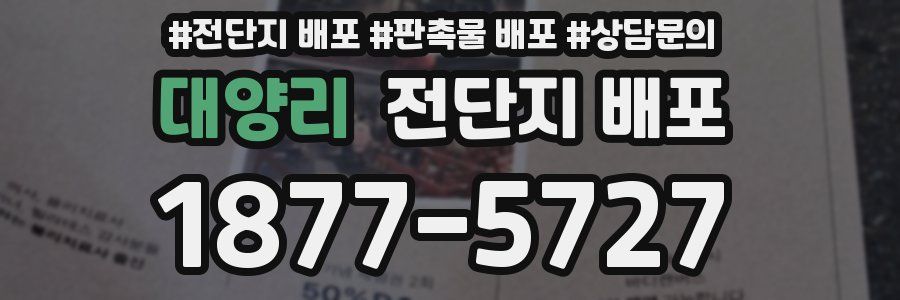 대양리 전단지 배포