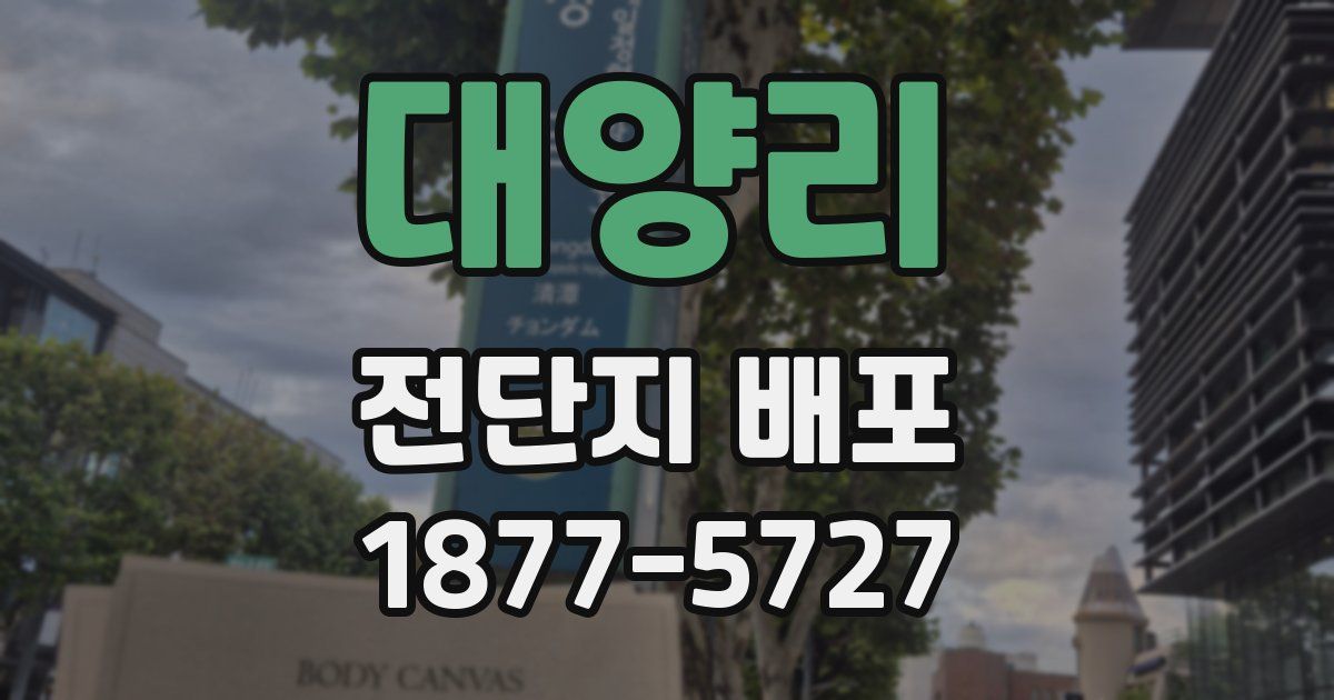대양리 전단지 배포