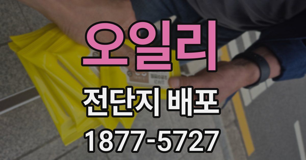 오일리 전단지 배포