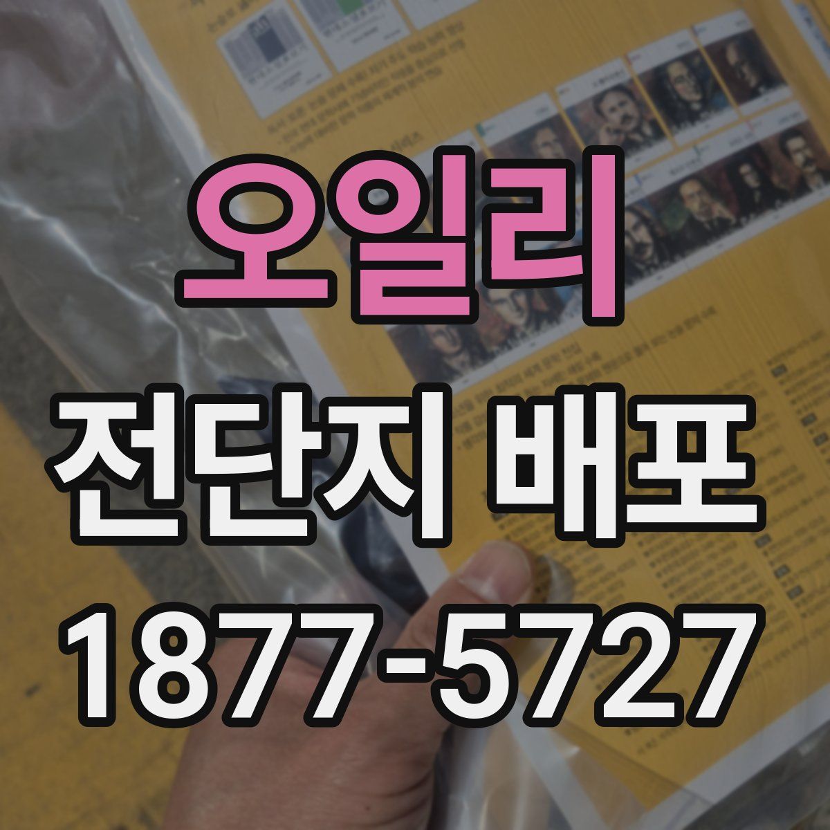 오일리 전단지 배포