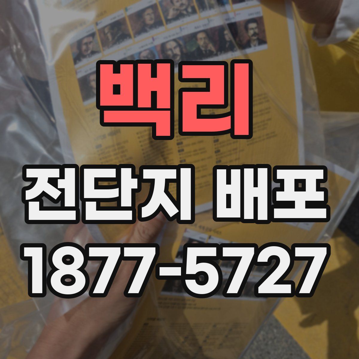 백리 전단지 배포