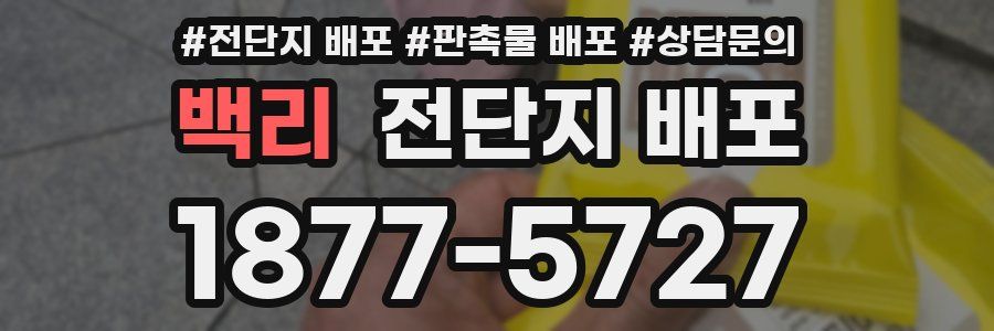백리 전단지 배포