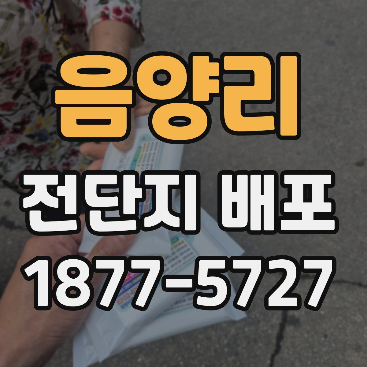 음양리 전단지 배포