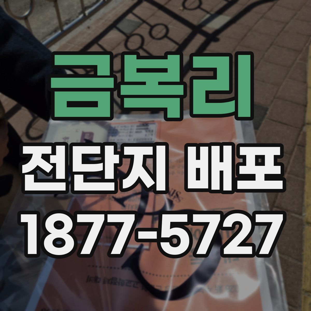 금복리 전단지 배포