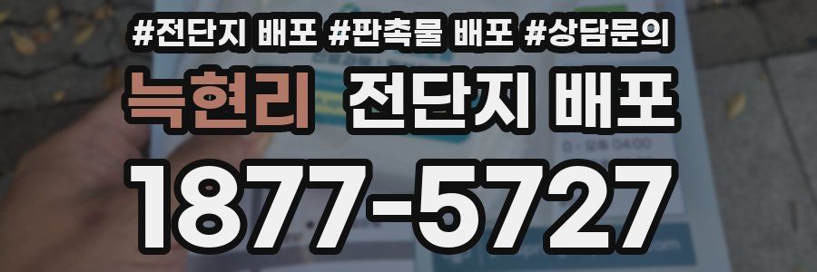 늑현리 전단지 배포